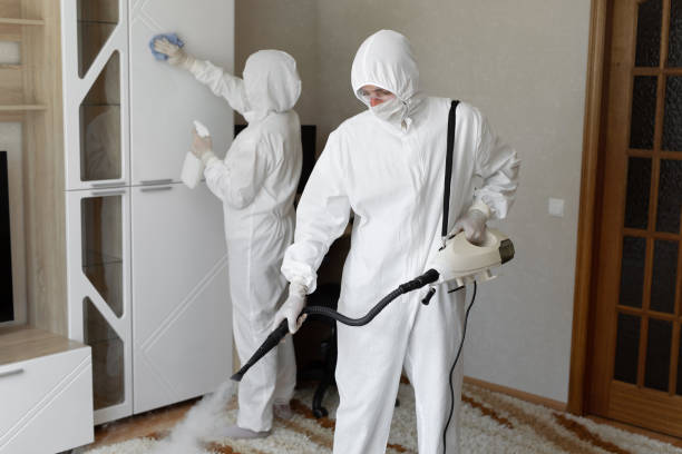 Professional Mold Remediation in Dunbar, SC